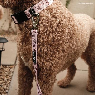 Show full view: Lucy & Co. Iced Coffee SZN Polyester Dog Leash, Large: 5-ft long, 1-in wide slide 5 of 9