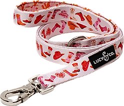 Lucy & Co. Howdy, Honey Polyester Dog Leash, Small: 5-ft long, 0.6-in wide