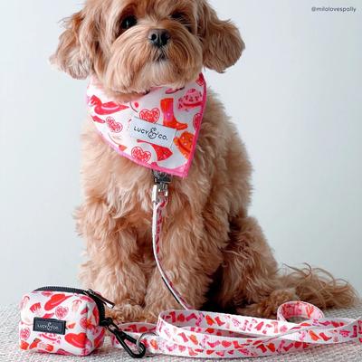 Show full view: Lucy & Co. Howdy, Honey Polyester Dog Leash, Large: 5-ft long, 1-in wide slide 4 of 5