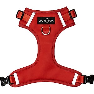 Lucy & Co. Cherry Red No Pull Dog Harness, Small: 14 to 18-in chest