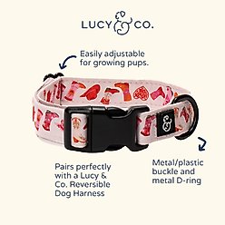 Lucy & Co. Howdy, Honey Polyester Dog Collar, Medium: 13 to 20-in neck, 1-in wide slide 2 of 4