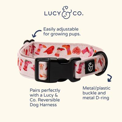 Show full view: Lucy & Co. Howdy, Honey Polyester Dog Collar, Medium: 13 to 20-in neck, 1-in wide slide 3 of 5