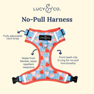Show full view: Lucy & Co. Fresh Berries No Pull Dog Harness, Small: 14 to 18-in chest slide 3 of 8