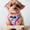 Show in main carousel: Lucy & Co. Fresh Berries No Pull Dog Harness, Small: 14 to 18-in chest slide 2 of 8