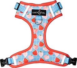 Lucy & Co. Fresh Berries No Pull Dog Harness, X-Large: 23 to 32-in chest