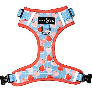 Lucy & Co. Fresh Berries No Pull Dog Harness, Small: 14 to 18-in chest