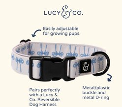 Lucy & Co. Bowwow Wow! Polyester Dog Collar, Large: 16 to 26-in neck, 1.5-in wide slide 2 of 4