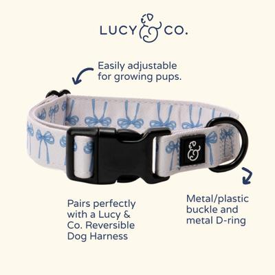 Show full view: Lucy & Co. Bowwow Wow! Polyester Dog Collar, Small: 8 to 14-in neck, 1/2-in wide slide 2 of 4