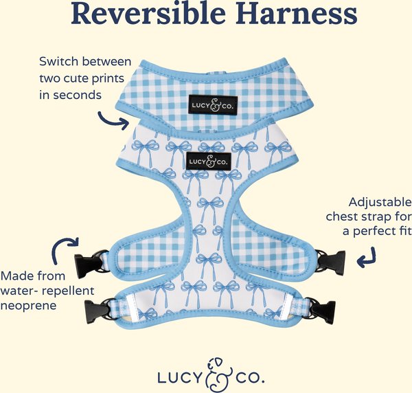 Lucy & Co. Bowwow Wow! Polyester Dog Collar