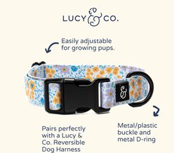 Lucy & Co. Among the Wildflowers Polyester Dog Collar, Small: 8 to 14-in neck, 1/2-in wide slide 2 of 6