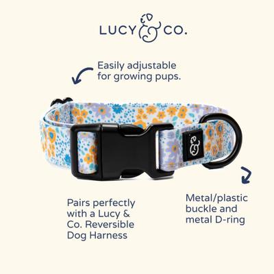 Show full view: Lucy & Co. Among the Wildflowers Polyester Dog Collar, Medium: 13 to 20-in neck, 1-in wide slide 4 of 7