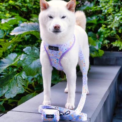 Show full view: Lucy & Co. Among the Wildflowers Reversible Dog Harness, Medium: 17 to 23-in chest slide 6 of 8