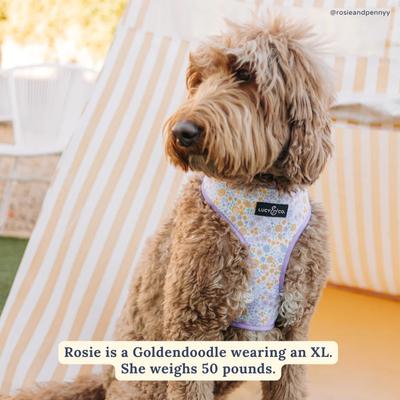 Show full view: Lucy & Co. Among the Wildflowers Reversible Dog Harness, Medium: 17 to 23-in chest slide 3 of 8