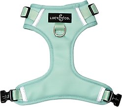 Lucy & Co. Spring Green No Pull Dog Harness, Medium: 17 to 23-in chest