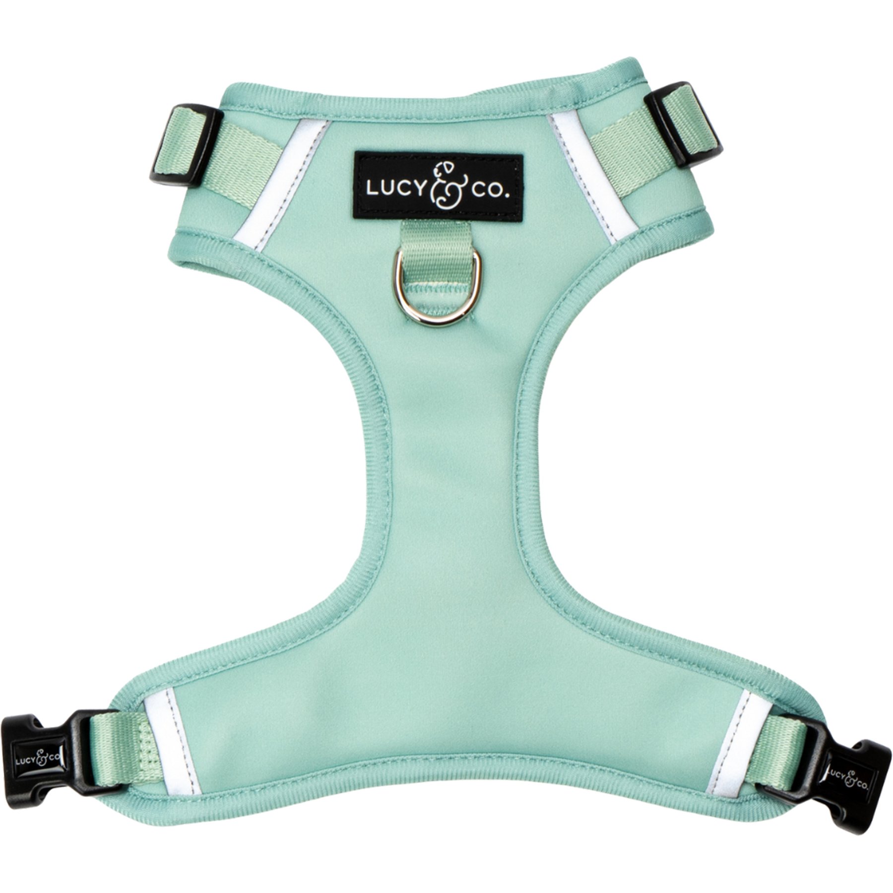 Lucy & Co. Spring Green No-Pull Dog Harness, X-Small: 12 to 15-in chest