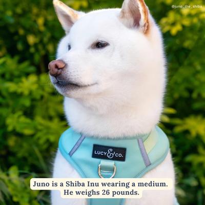 Show full view: Lucy & Co. Spring Green No Pull Dog Harness, Medium: 17 to 23-in chest slide 3 of 10