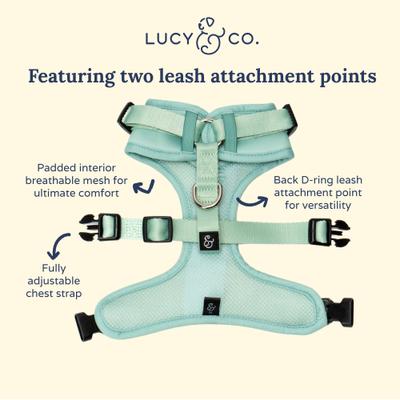 Show full view: Lucy & Co. Spring Green No Pull Dog Harness, Medium: 17 to 23-in chest slide 6 of 10