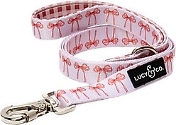 Lucy & Co. Take a Bow Polyester Dog Leash, Small: 5-ft long, 0.6-in wide