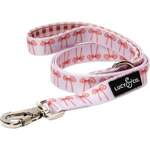 Lucy & Co. Take a Bow Polyester Dog Leash, Small: 5-ft long, 0.6-in wide