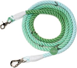 Lucy & Co. Hands-Free Rope Dog Leash, 7-ft long, 3/4-in wide, Spring Green