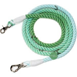 Lucy & Co. Hands-Free Rope Dog Leash, 7-ft long, 3/4-in wide, Spring Green