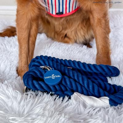 Show full view: Lucy & Co. Hands-Free Rope Dog Leash, 7-ft long, 3/4-in wide, Navy slide 2 of 6