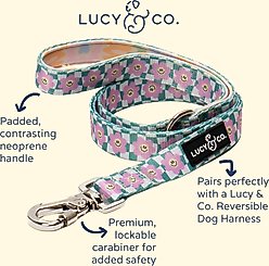 Lucy & Co. Just Chill Polyester Dog Leash, Large: 5-ft long, 1-in wide slide 2 of 5