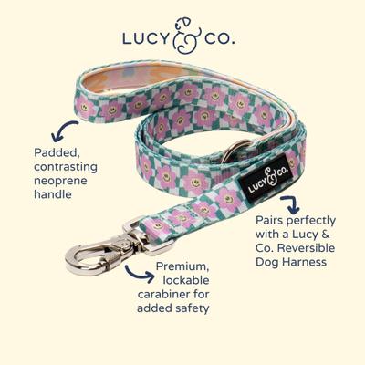 Show full view: Lucy & Co. Just Chill Polyester Dog Leash, Large: 5-ft long, 1-in wide slide 4 of 5
