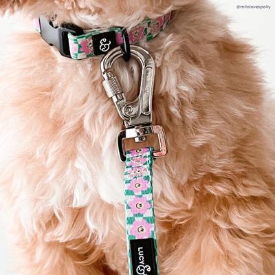 Show full view: Lucy & Co. Just Chill Polyester Dog Collar, Small: 8 to 14-in neck, 1/2-in wide slide 2 of 4