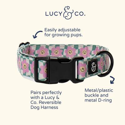Show full view: Lucy & Co. Just Chill Polyester Dog Collar, Small: 8 to 14-in neck, 1/2-in wide slide 3 of 4