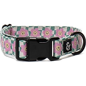 Lucy & Co. Just Chill Polyester Dog Collar, Small: 8 to 14-in neck, 1/2-in wide