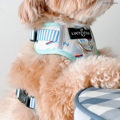 Show full view: Lucy & Co. Nautical by Nature No Pull Dog Harness, Large: 20 to 28-in chest slide 7 of 9