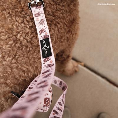 Show full view: Lucy & Co. Iced Coffee SZN Polyester Dog Leash, Large: 5-ft long, 1-in wide slide 4 of 9