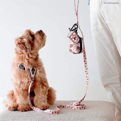 Show full view: Lucy & Co. Iced Coffee SZN Polyester Dog Leash, Large: 5-ft long, 1-in wide slide 8 of 9
