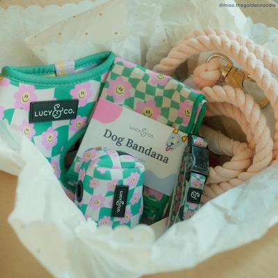 Show full view: Lucy & Co. Just Chill Leash Attachment Dog Poop Bag Dispenser slide 3 of 6