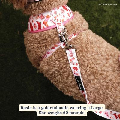 Show full view: Lucy & Co. Howdy, Honey Polyester Dog Leash, Large: 5-ft long, 1-in wide slide 2 of 5