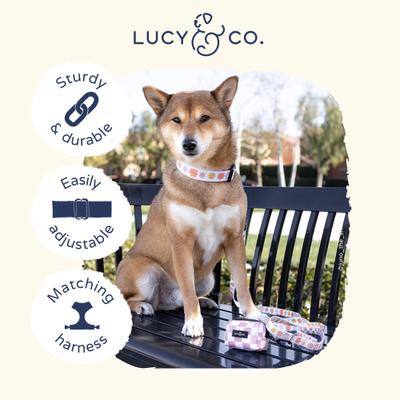 Show full view: Lucy & Co. Bowwow Wow! Polyester Dog Collar, Small: 8 to 14-in neck, 1/2-in wide slide 3 of 4