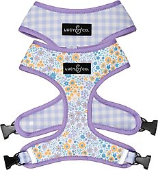 Lucy & Co. Among the Wildflowers Reversible Dog Harness, Medium: 17 to 23-in chest