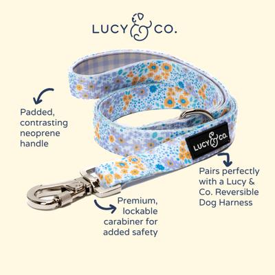 Show full view: Lucy & Co. Among the Wildflowers Polyester Dog Leash, Large: 5-ft long, 1-in wide slide 3 of 5