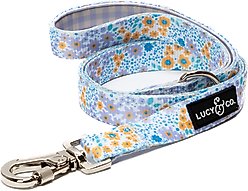 Lucy & Co. Among the Wildflowers Polyester Dog Leash, Small: 5-ft long, 0.6-in wide