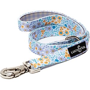 Lucy & Co. Among the Wildflowers Polyester Dog Leash, Large: 5-ft long, 1-in wide