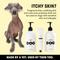 Show in main carousel: DOG By Dr Lisa Sensitive Dog Shampoo, 500-mL slide 8 of 8