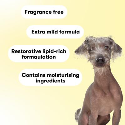 Show full view: DOG By Dr Lisa Sensitive Dog Shampoo, 500-mL slide 5 of 8