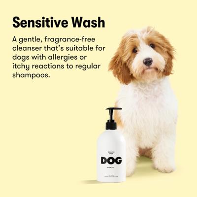 Show full view: DOG By Dr Lisa Sensitive Dog Shampoo, 500-mL slide 4 of 8