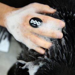 DOG By Dr Lisa Dog Brush, Black slide 2 of 5