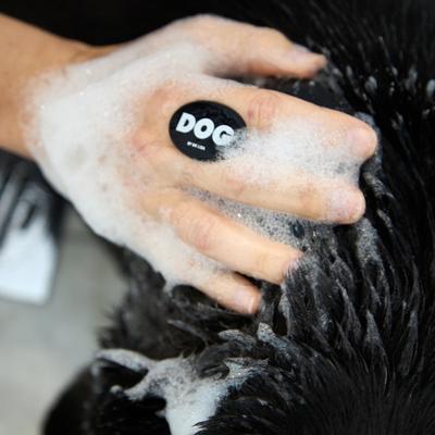 Show full view: DOG By Dr Lisa Dog Brush, Black slide 5 of 5