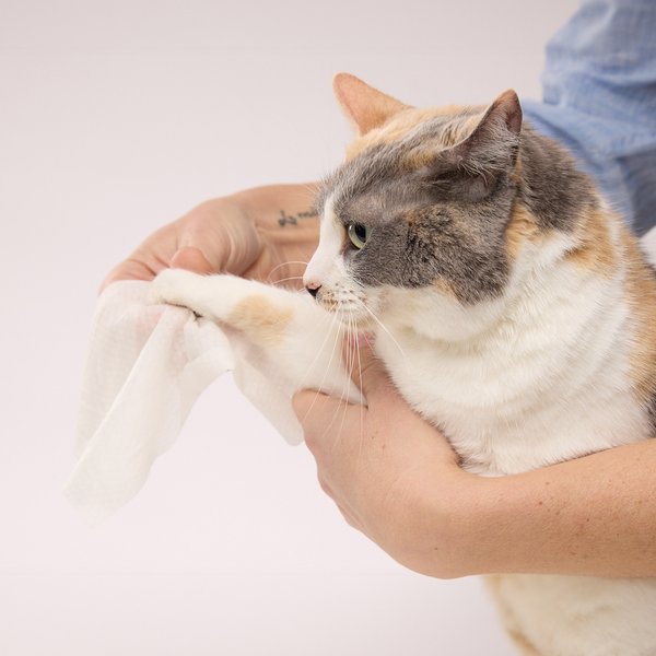 CAT By Dr Lisa Cat Grooming Wipes