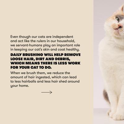 Show full view: CAT By Dr Lisa Bamboo Slicker Cat Brush slide 6 of 7