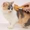 Show in main carousel: CAT By Dr Lisa Bamboo Slicker Cat Brush slide 3 of 7
