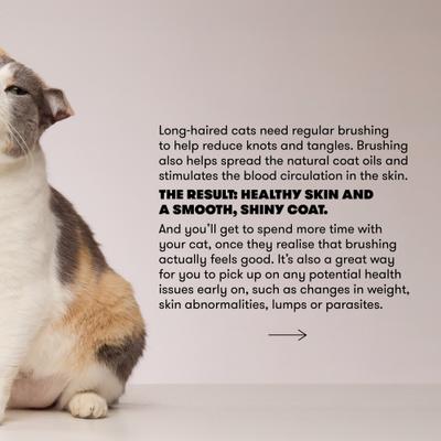 Show full view: CAT By Dr Lisa Bamboo Rake Cat Brush slide 5 of 5